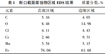 ڽ港g^(q) EDS Y(ji)